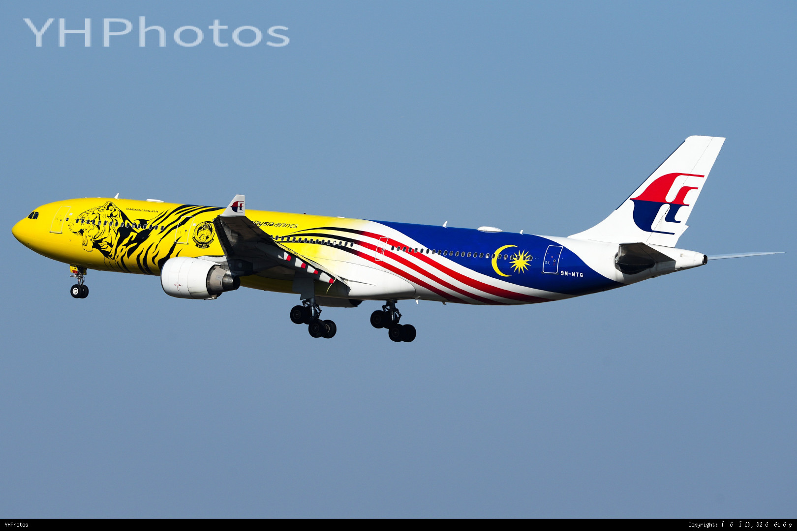 注册号竟然可以不写[恐惧][恐惧][恐惧]