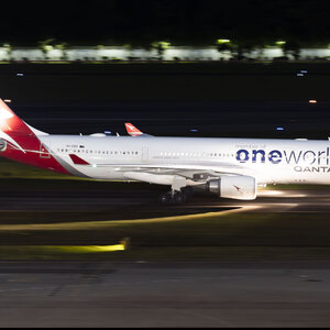 我是傻子内存卡也是